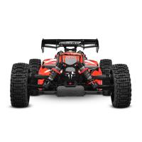 CORALLY RADIX XP 6S 2021 1/8 BUGGY RC