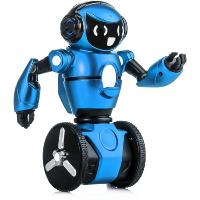 ROBOT WLTOYS F1