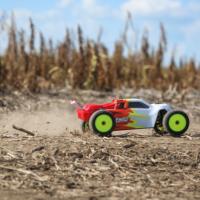 LOSI MINI-T 2.0 2WD STADIUM RTR