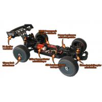 Destructor BBR - 1:8 Buggy brushed RTR DF- Models