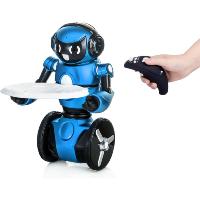 ROBOT WLTOYS F1