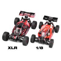 CORALLY ASUGA XLR 6S GRAN TAMAÑO BUGGY KIT