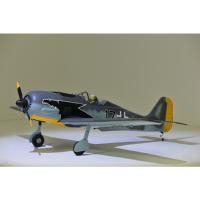 AVION FOCKE WULT 120-20CC PHOENIX MODEL