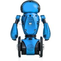 ROBOT WLTOYS F1