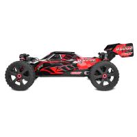 CORALLY ASUGA XLR 6S GRAN TAMAÑO BUGGY KIT